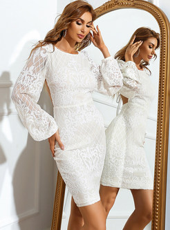 Long Sleeve Fitted Floral Lace Bodycon Dress