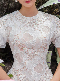 Elegant Embroidered Mesh Lace Midi Dress