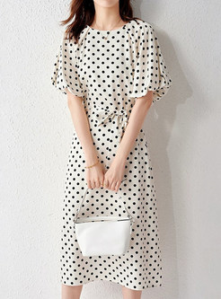 Short Sleeve Polka Dot Print Dress