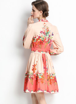 Long Sleeve V Neck Floral Mini Dress