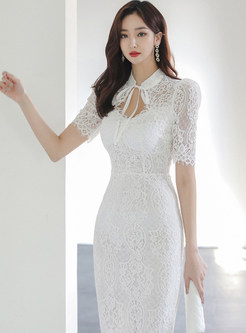Sexy Lace Openwork Pencil Dresses
