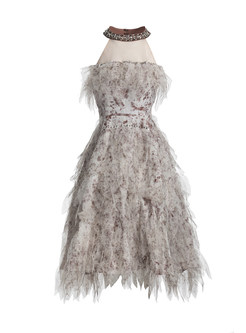 Luxe Sleeveless Transparent Irregular Princess Dresses