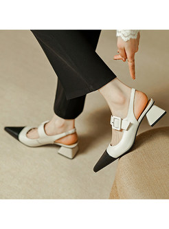 Color-Blocked Pointed Toe Square Heel Sandals For Women