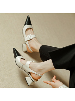 Color-Blocked Pointed Toe Square Heel Sandals For Women