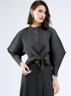 Single-Breasted Lantern Sleeve Textured Dressy Tops For Women