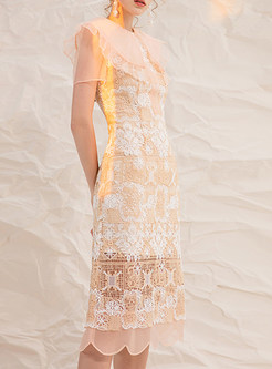 Fitted Lace Large Lapels Transparent Corset Dresses