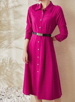 Shirt Collar Single-Breasted Solid Color Skater Dresses