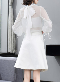 Elegant Mesh Sheer-Sleeve Corset Work Dress