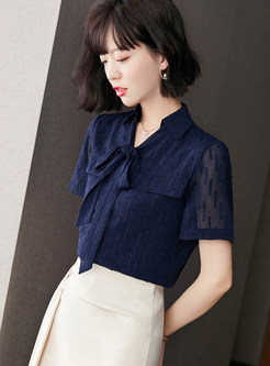 Mesh Sheer-Sleeve Bow Front Casual Top