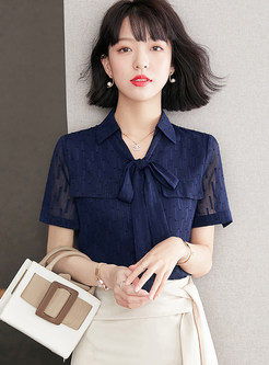 Mesh Sheer-Sleeve Bow Front Casual Top