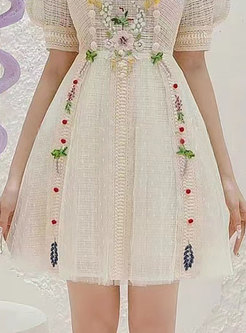 Sweet & Cute Puff Sleeve Embroidered Skater Dresses