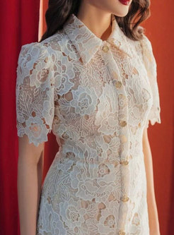 Romantic Single-Breasted Turn-Down Collar Lace Summer Dresses