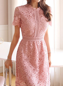 Classic-Fit Blush Pink Lace Dress