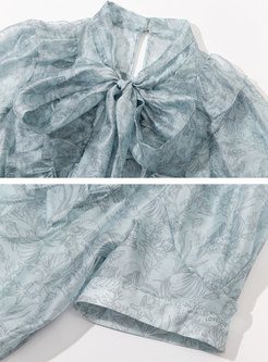Lightweight Puff Sleeve Bowknot Dressy Tops For Women