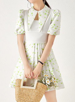 Sweet & Cute Cutout Puff Sleeve Mini A-Line Dresses