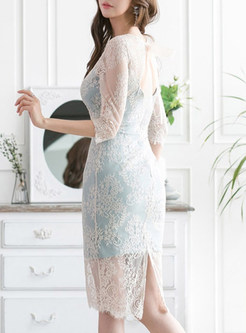 Sexy Lace Transparent Bodycon Dresses