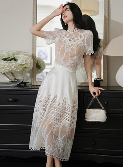 Pretty Lace See Through Skater Dresses