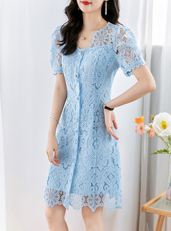 Pretty Lace Waisted Skater Dresses