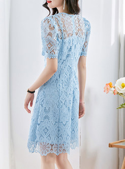 Pretty Lace Waisted Skater Dresses