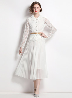 Elegant Lace Women Blouses & Pleated Skirts