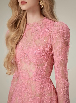 Lace Transparent Embroidered Dresses