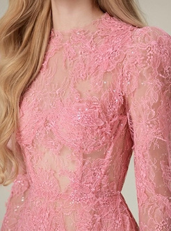 Lace Transparent Embroidered Dresses
